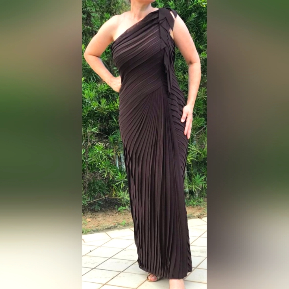 Tadashi Shoji choco brown all around pleated  full length evening gown s…